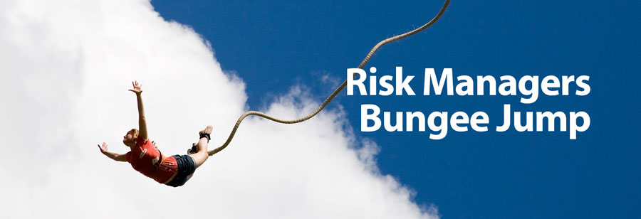 Risk Managers Bungee Jump
