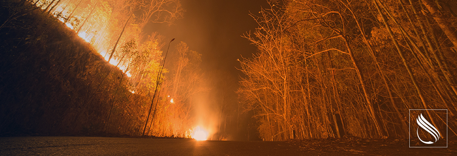 Incendios incontrolados: los hechos y los riesgos