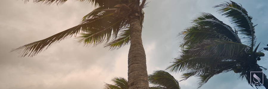 Preparing for Summer Storms