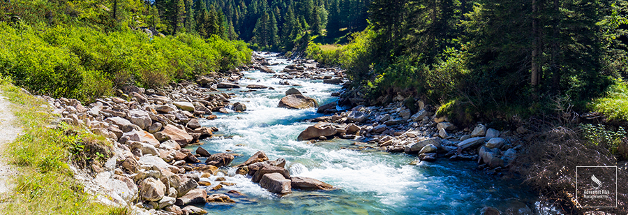 Peligro en el río: cómo disfrutar del agua en la naturaleza y permanecer a salvo